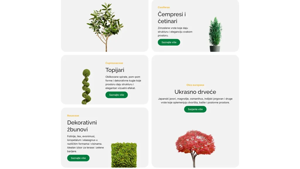 Sajt Ramonda - primer fotografija na karticama